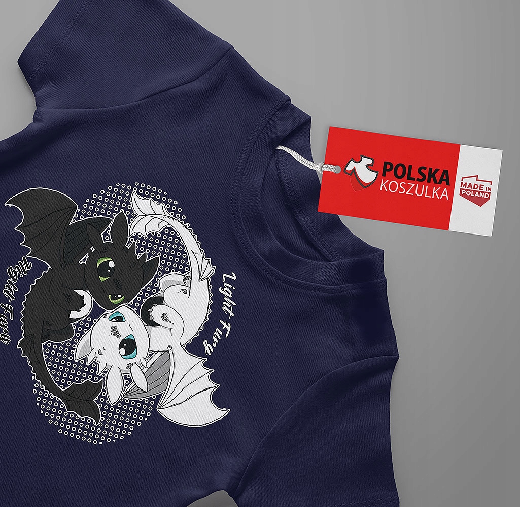 ZESTAW 3W1 KOSZULKA DLA DZIECI TATUAŻE NAKLEJKI JAK WYTRESOWAĆ SMOKA 152 Liczba sztuk w zestawie 3 szt.