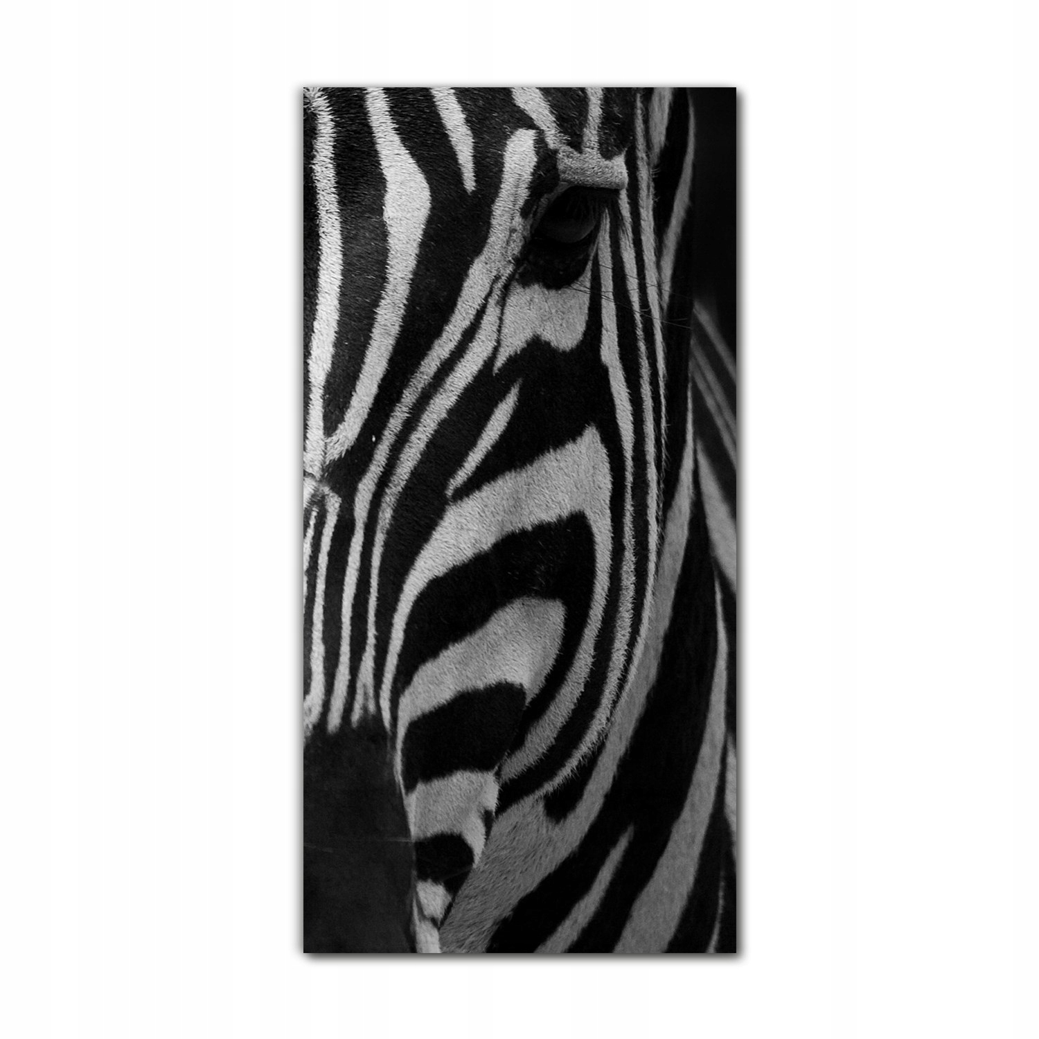 

Foto-obraz na szkle do kuchni 60x120 Zebra safari