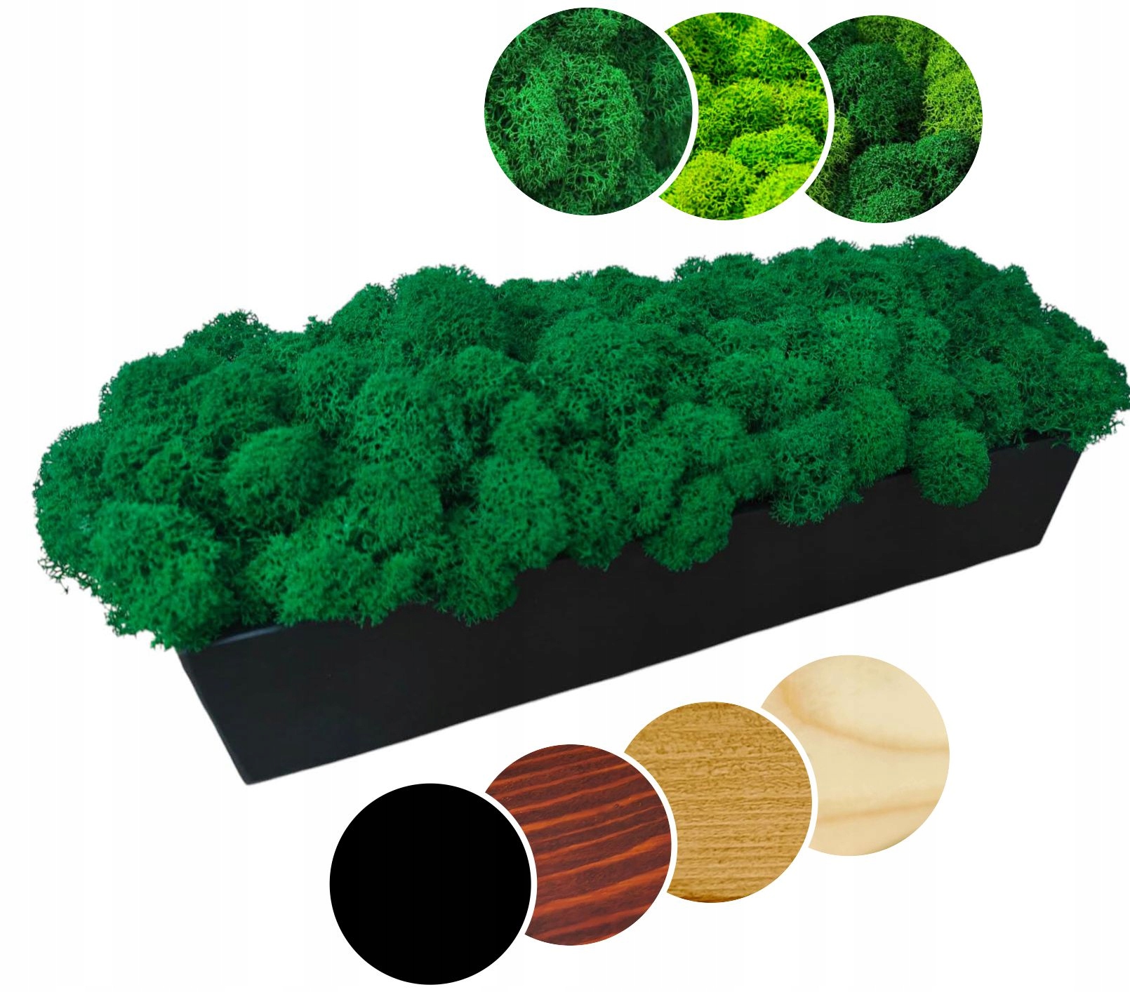 Dřevěný květináč 60 cm s Mechem Chrobotkem, dlouhý mech, přírodní chrobotek