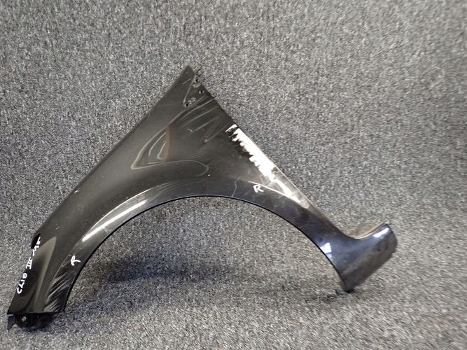 RENAULT CLIO III 195 fender left front front