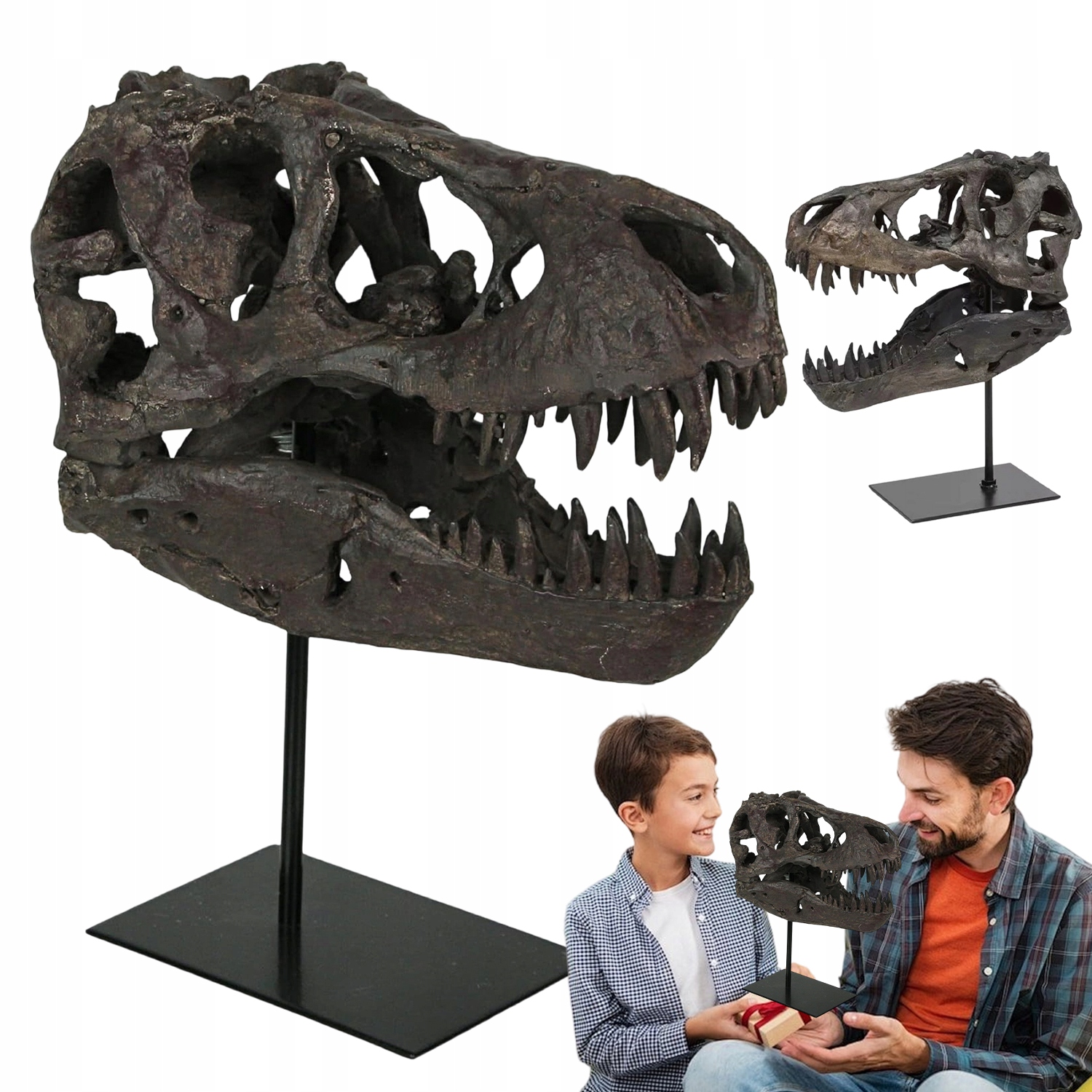 Řebříček Lebky Dinosaura Tyranosaurus Živý S Výstavním Podstavcem