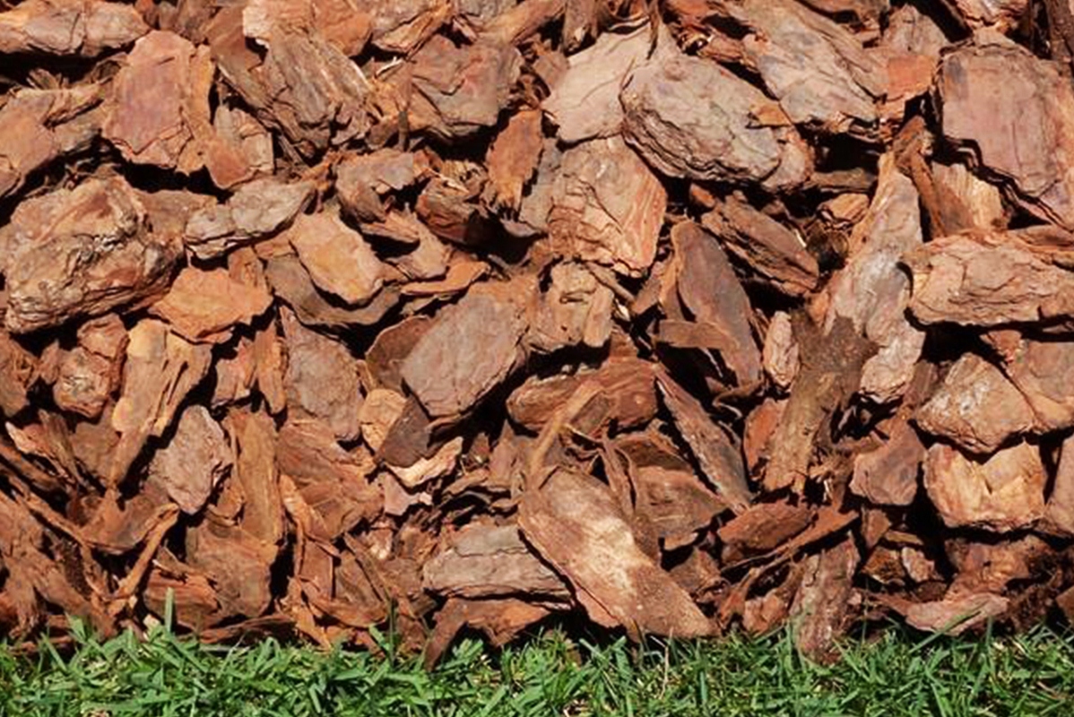 KORA SOSNOWA Ogrodowa Gruba Torf Humus 80L Naturalne Podłoże | Zrębkor Waga produktu z opakowaniem jednostkowym 14 kg