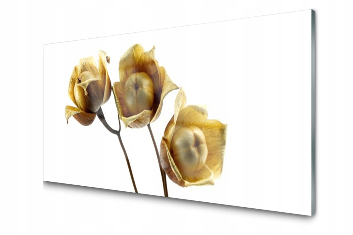 

Panel szklany dekor Kwiaty Roślina 140x70 + Klej