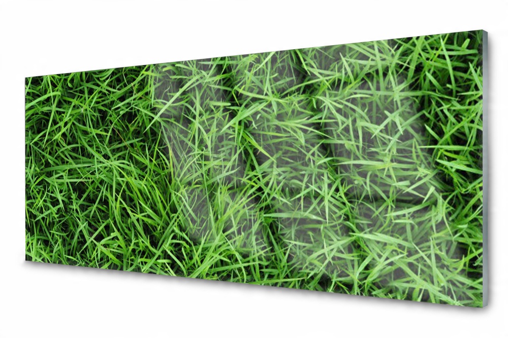 

Panel szklany do kuchni Trawa Trawnik 125x50