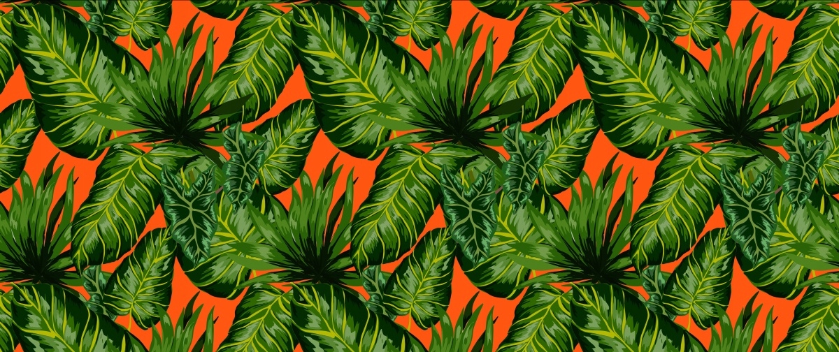 

Tapeta Flizelinowa Tropikalne liście - 250x104