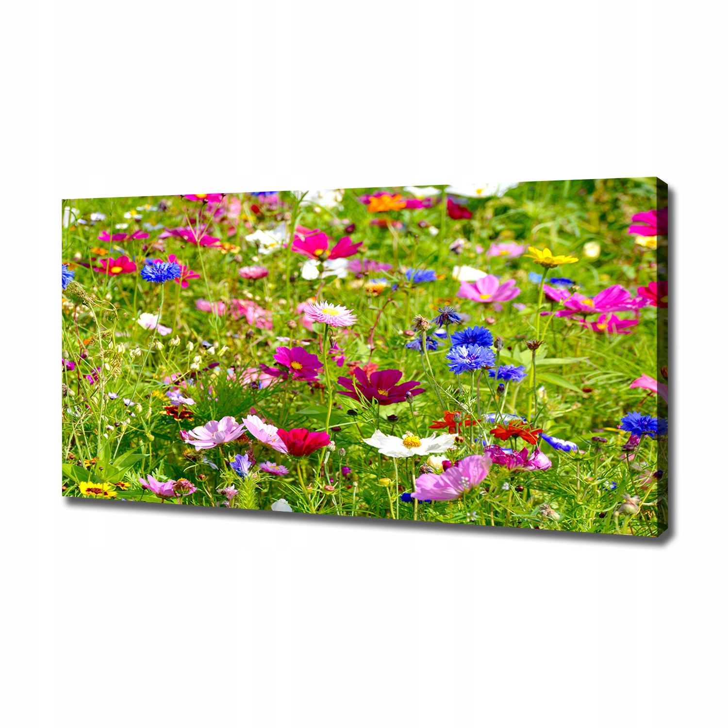 

Duży foto obraz na płótnie Polne kwiaty 120x60 cm