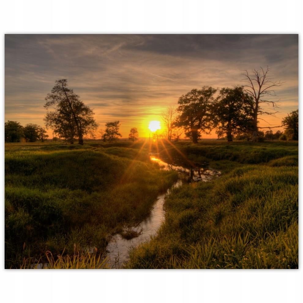 

Plakat 50x40 Zachodzące słońce Rogalin