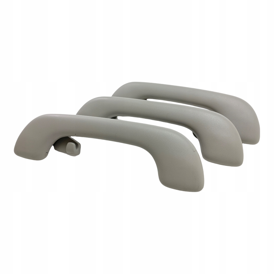 Захисні ручки Renault Scenic III