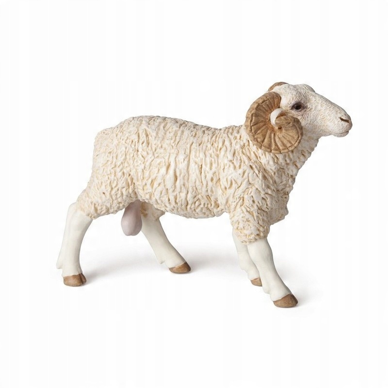 

Baran Ram Papo 51129