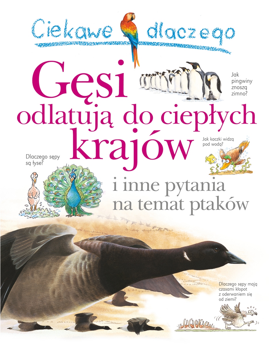 

Ciekawe dlaczego gęsi odlatują do ciepłych krajów