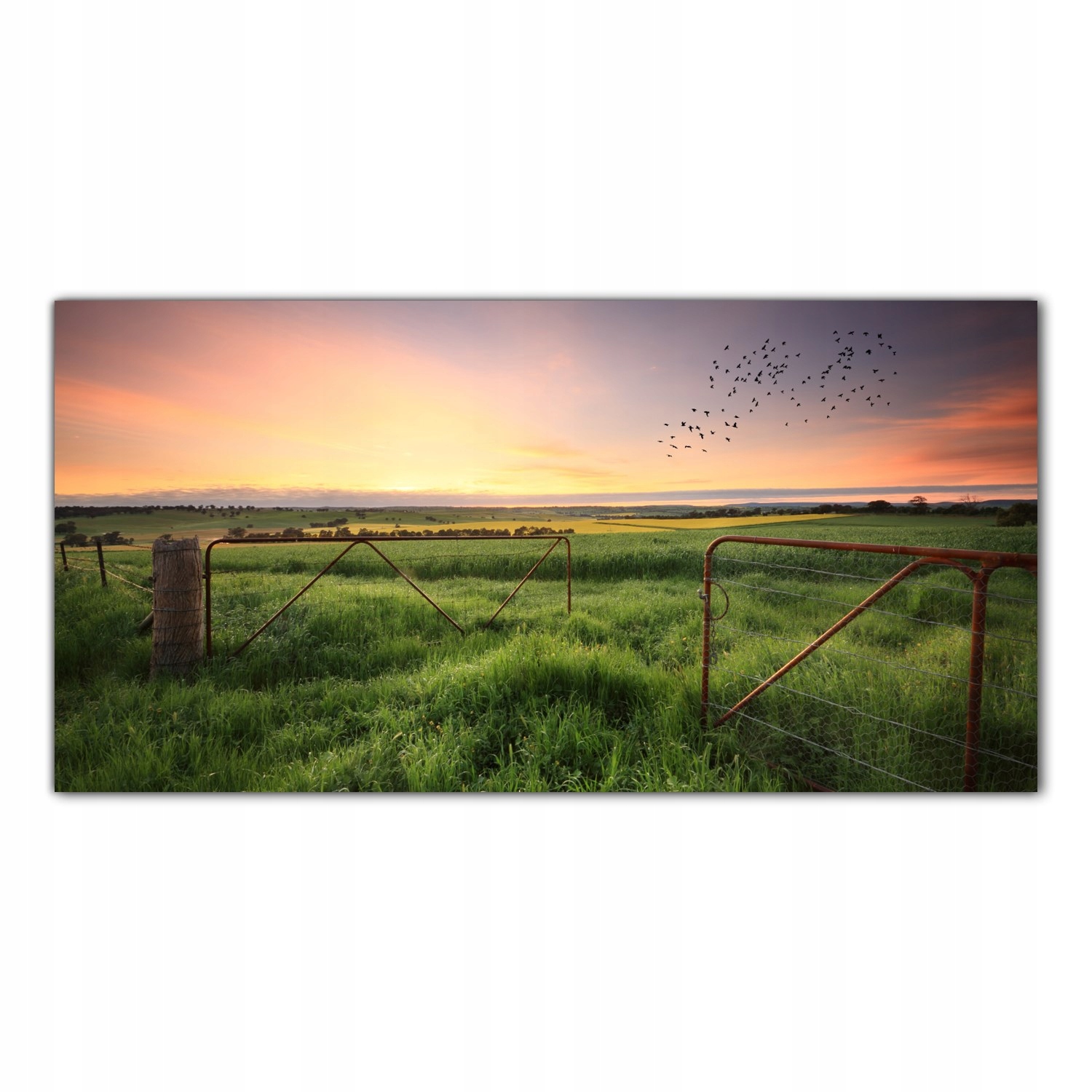 

Obraz Szklany Foto-obraz Rdza Brama Pole 120x60