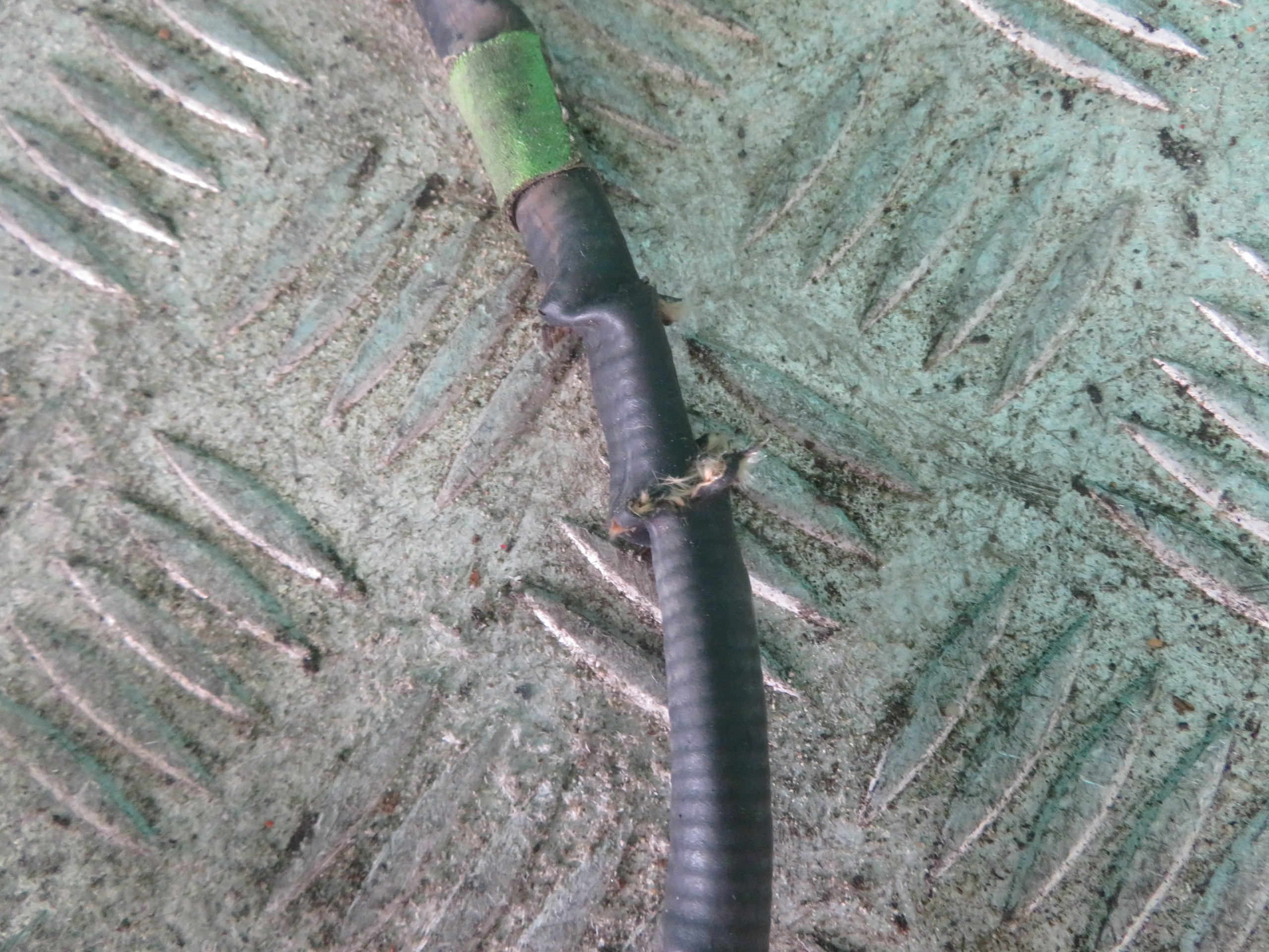 SONDA LAMBDA MASTER MOVANO 22R 227905433R