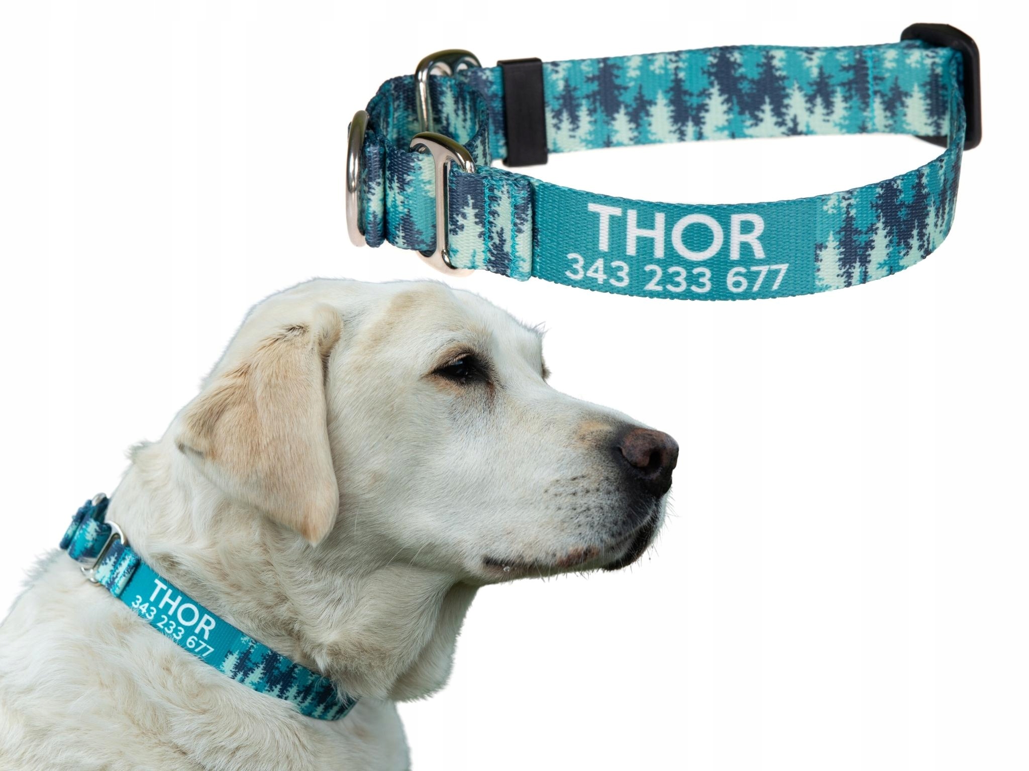 

Obroża Martingale Adresówka numer różne