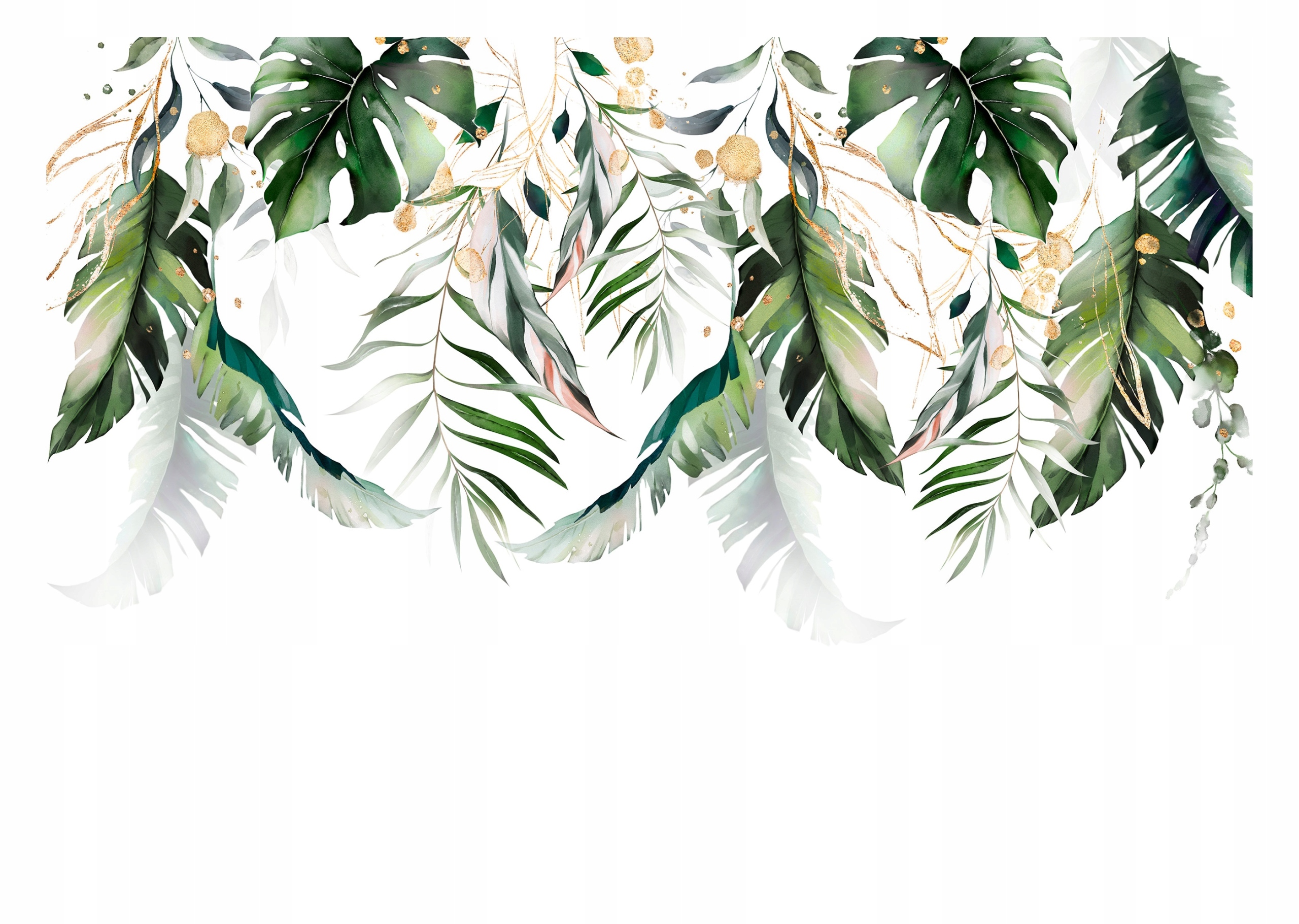 

Fototapeta Liście Palmy Monstera Natura 312x219