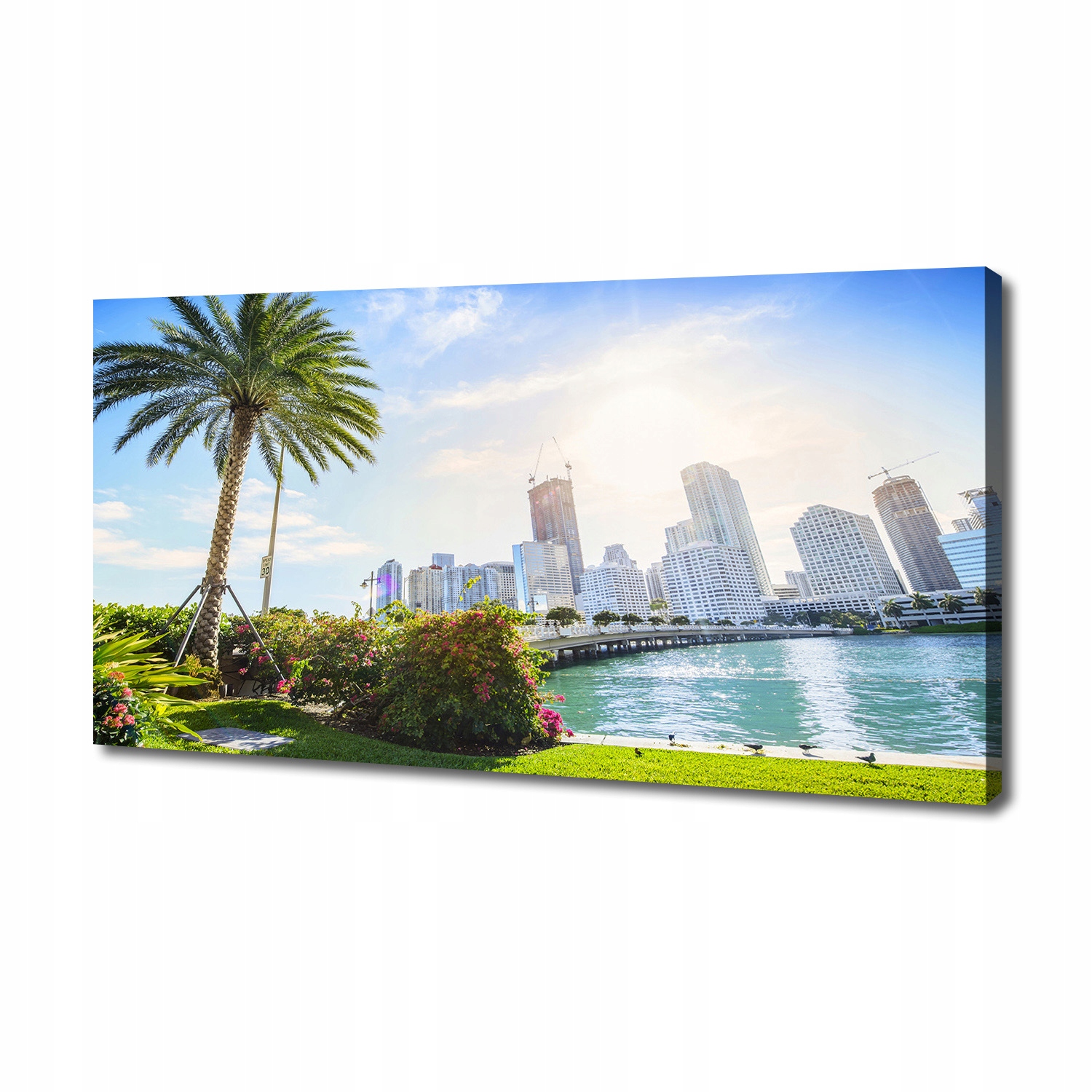 

Foto obraz canvas na ścianę Miami Usa 140x70 cm