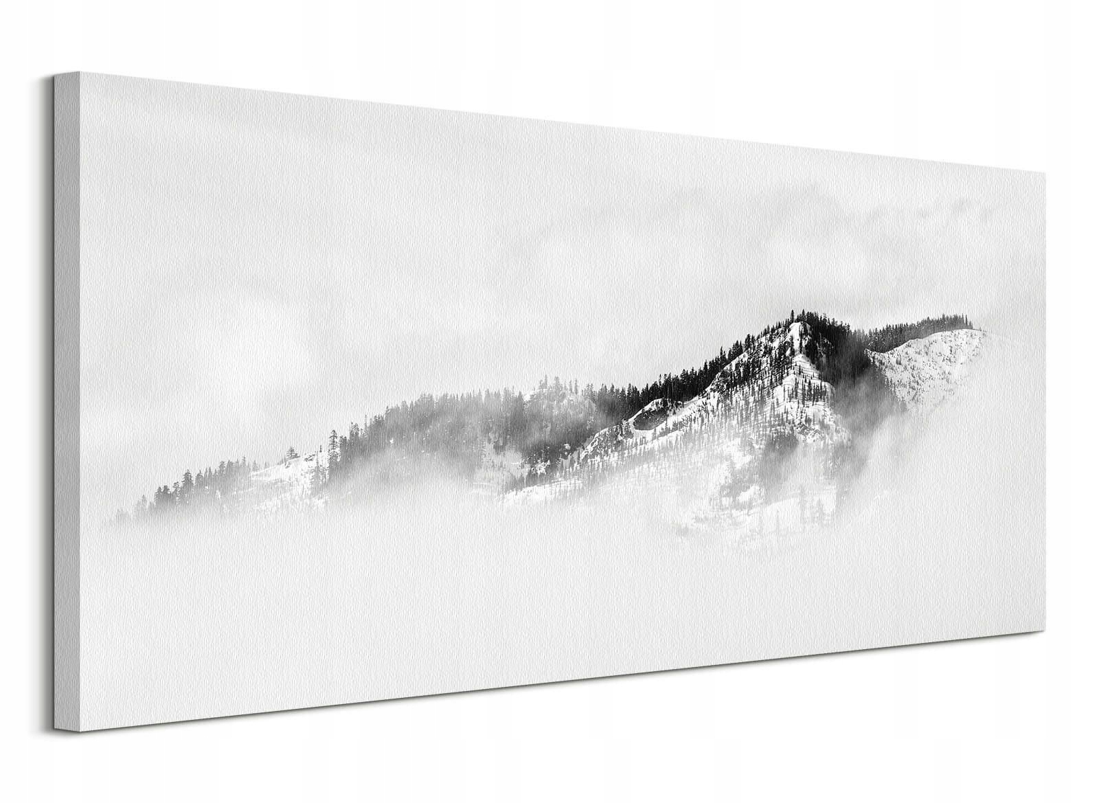 

Śnieżna góra w śniegu obraz do salonu 100x50 cm