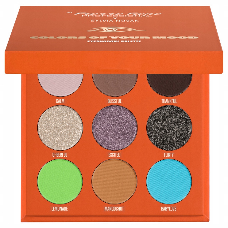 Pierre Rene x Sylvia Novak Colors Of Your Mood Paleta Stínů