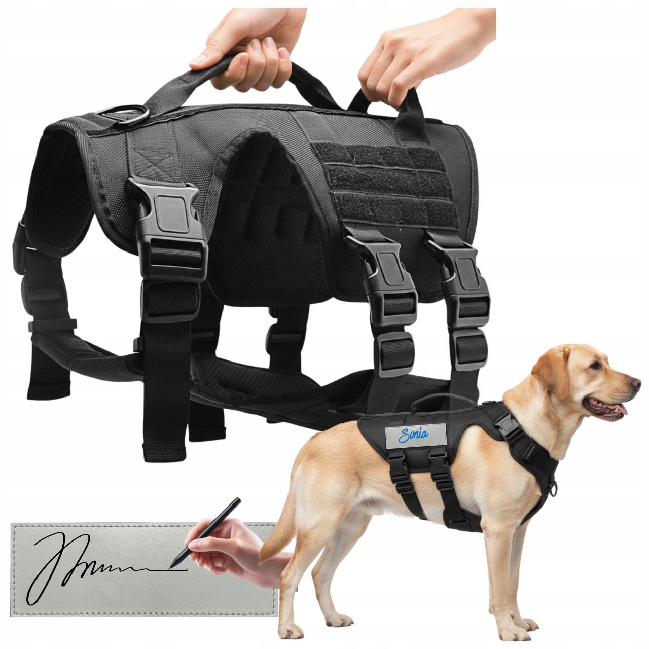 Levně Procházkové postroje pro psa s držadly, nastavitelné, pohodlné, L, prémiový postroj