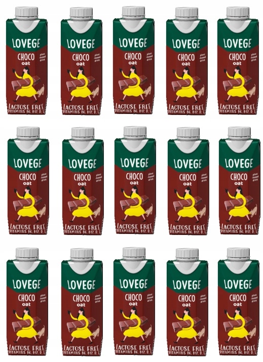 15 x 330 ml Sante Lovege Ovesný nápoj Čokoládový Karton