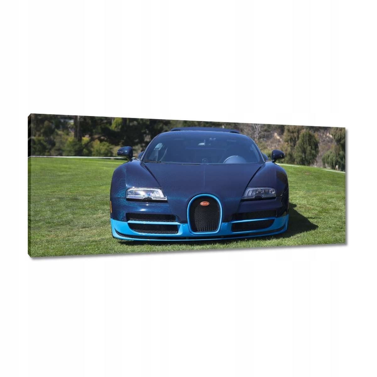 Obrazy 100x40 Bugatti Auto