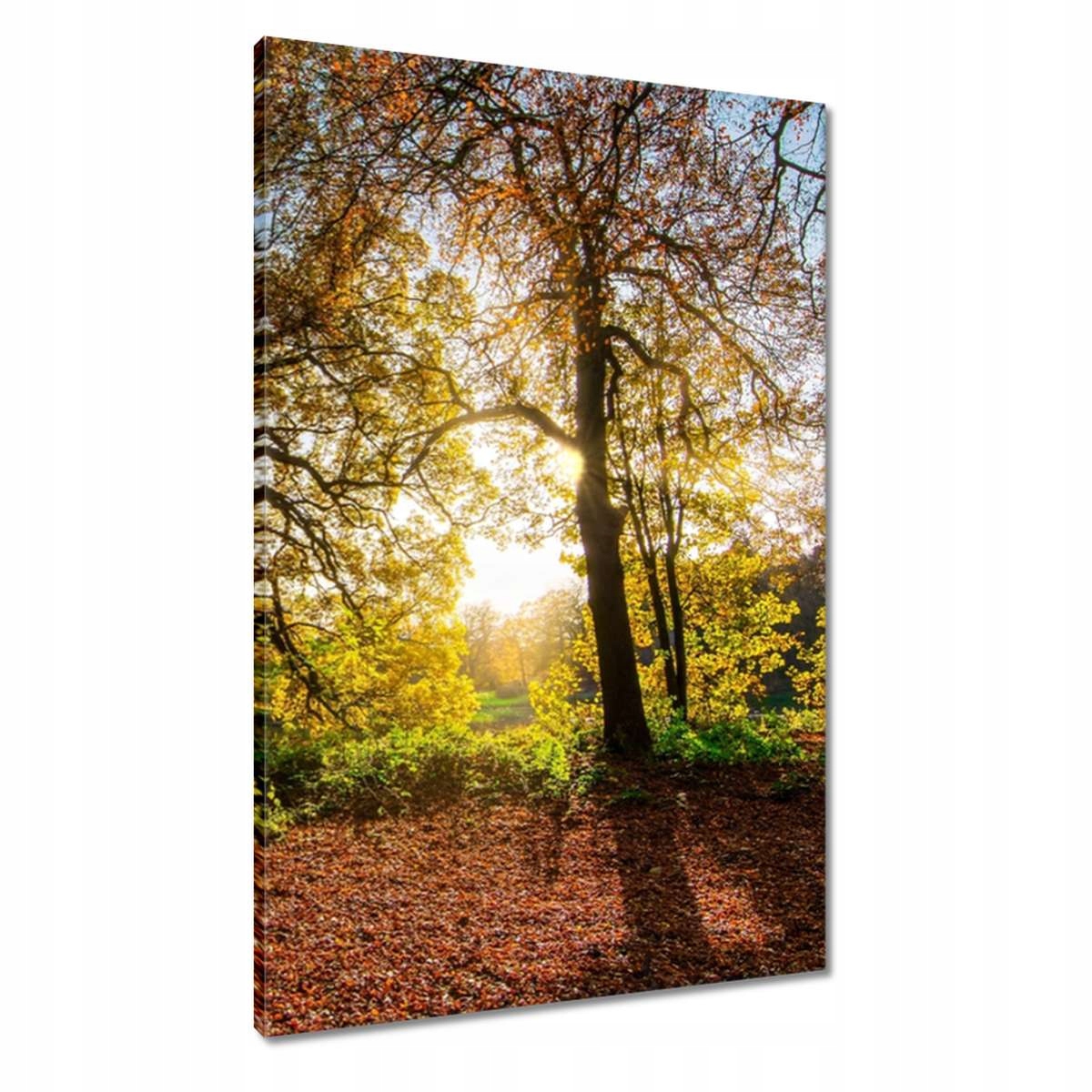 Obrazy 60x90 Krajina