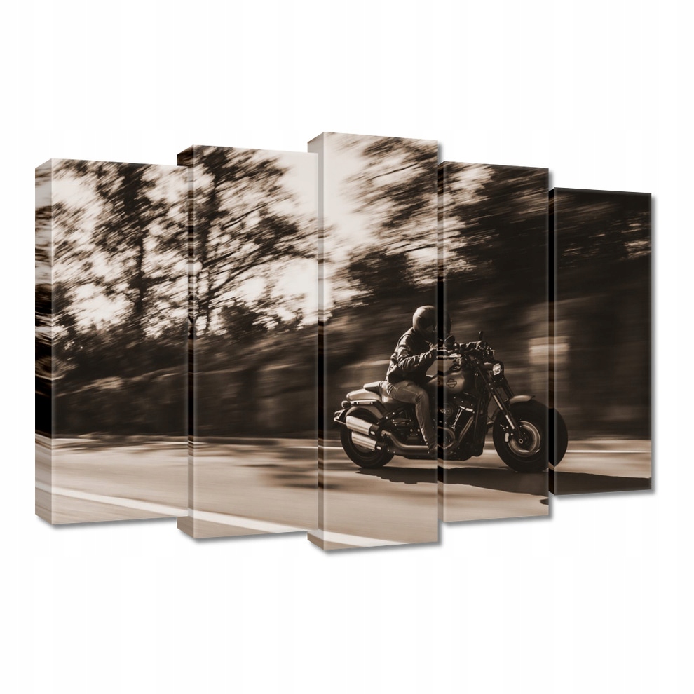 

Obrazy 70x50 Harley Davidson Motocykl