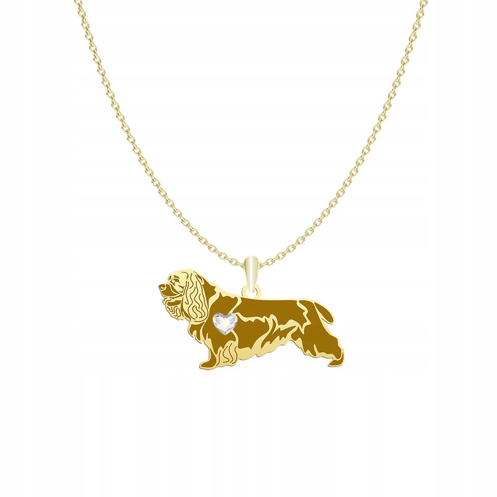 Zlatý náhrdelník se psem Sussex Spaniel 925 Řetízek Žena Gravírování Bonus