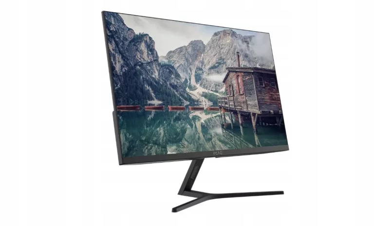 Monitor Peaq S244-IFC 24 Fhd Ips 100HZ Freesync Czarny