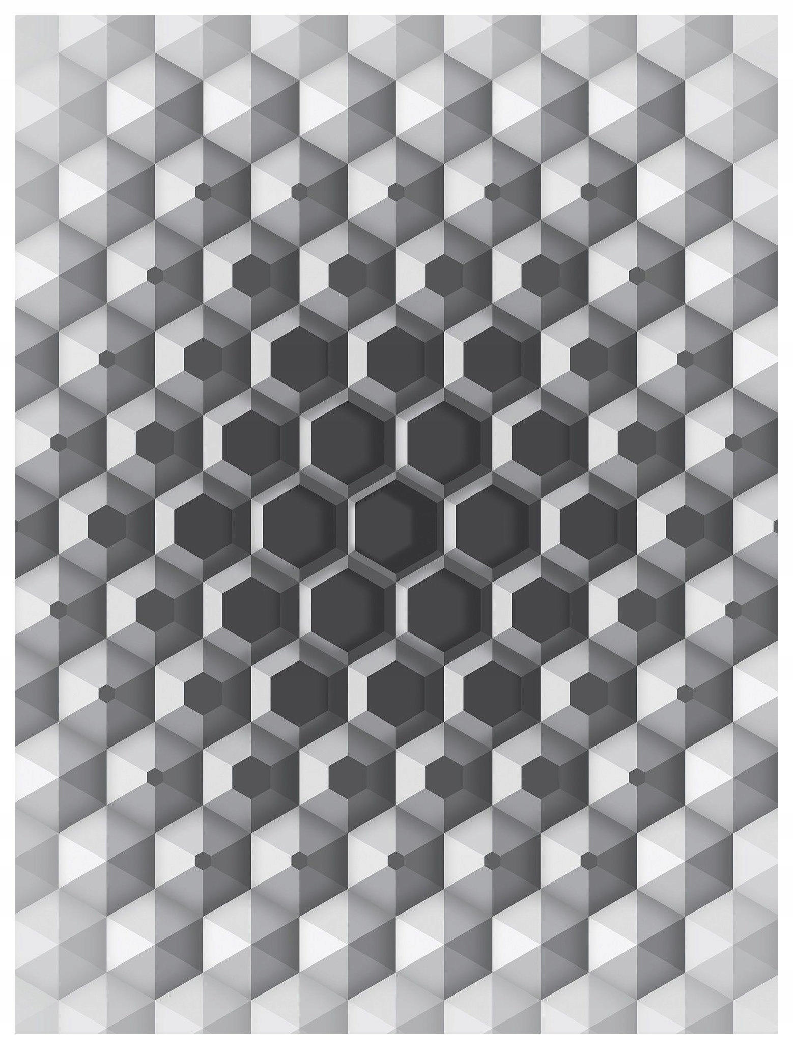 Fototapeta Šedé šestiúhelníky 3D geometrie efekt monochromie 206x275 lepidlo