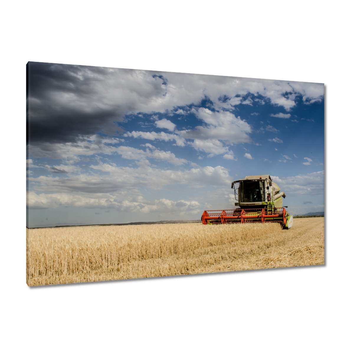 Obrazy 120x80 Kombajn během sklizně