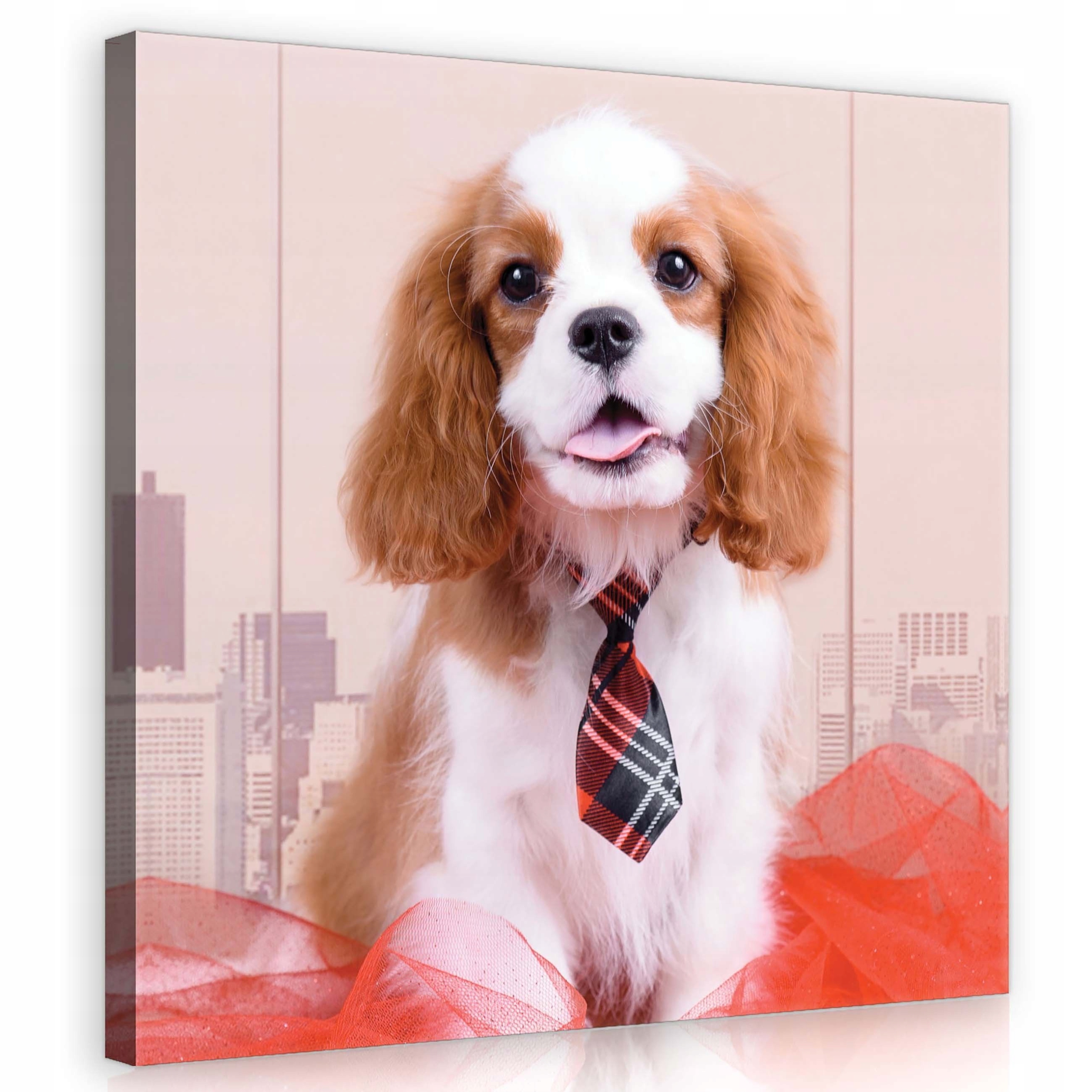 Obraz 80x80 Sladký pes Cavalier King Charles Spaniel kravata červená
