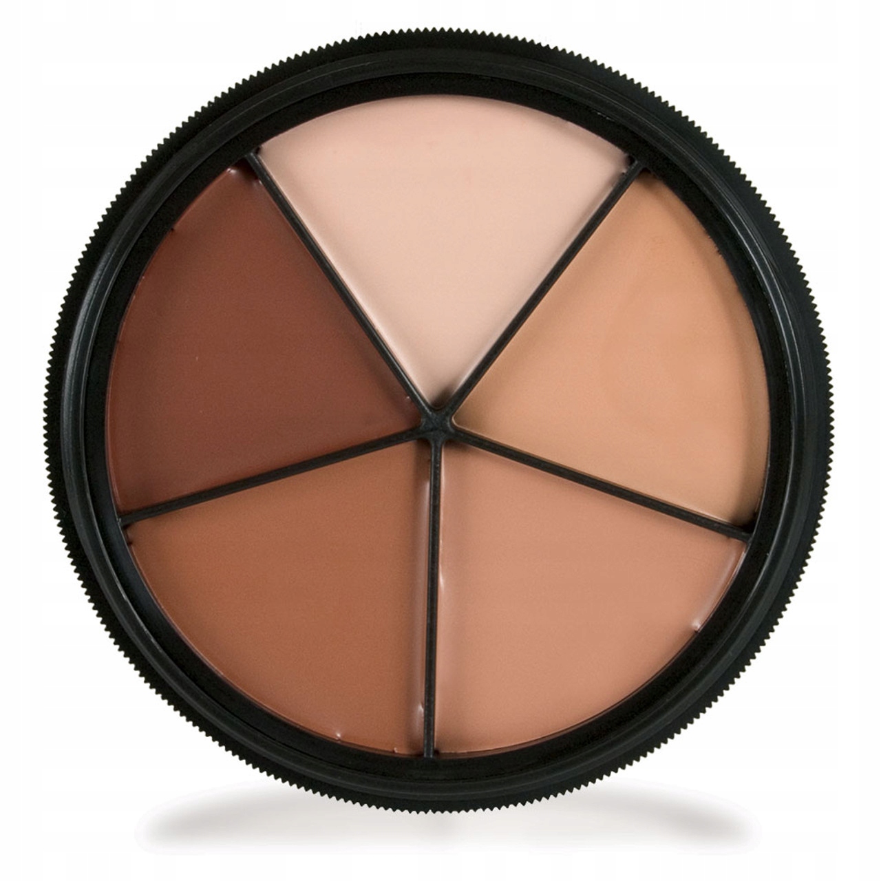 Mehron Makeup ProColoRing Tattoo Cover 5 Color Wheel