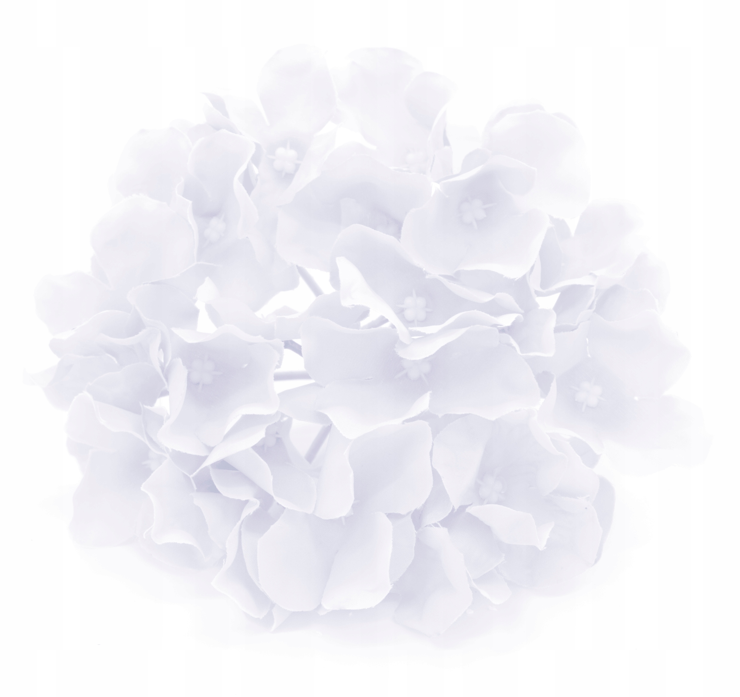 

Kwiat Hortensja Satynowa Główka Biała 15cm