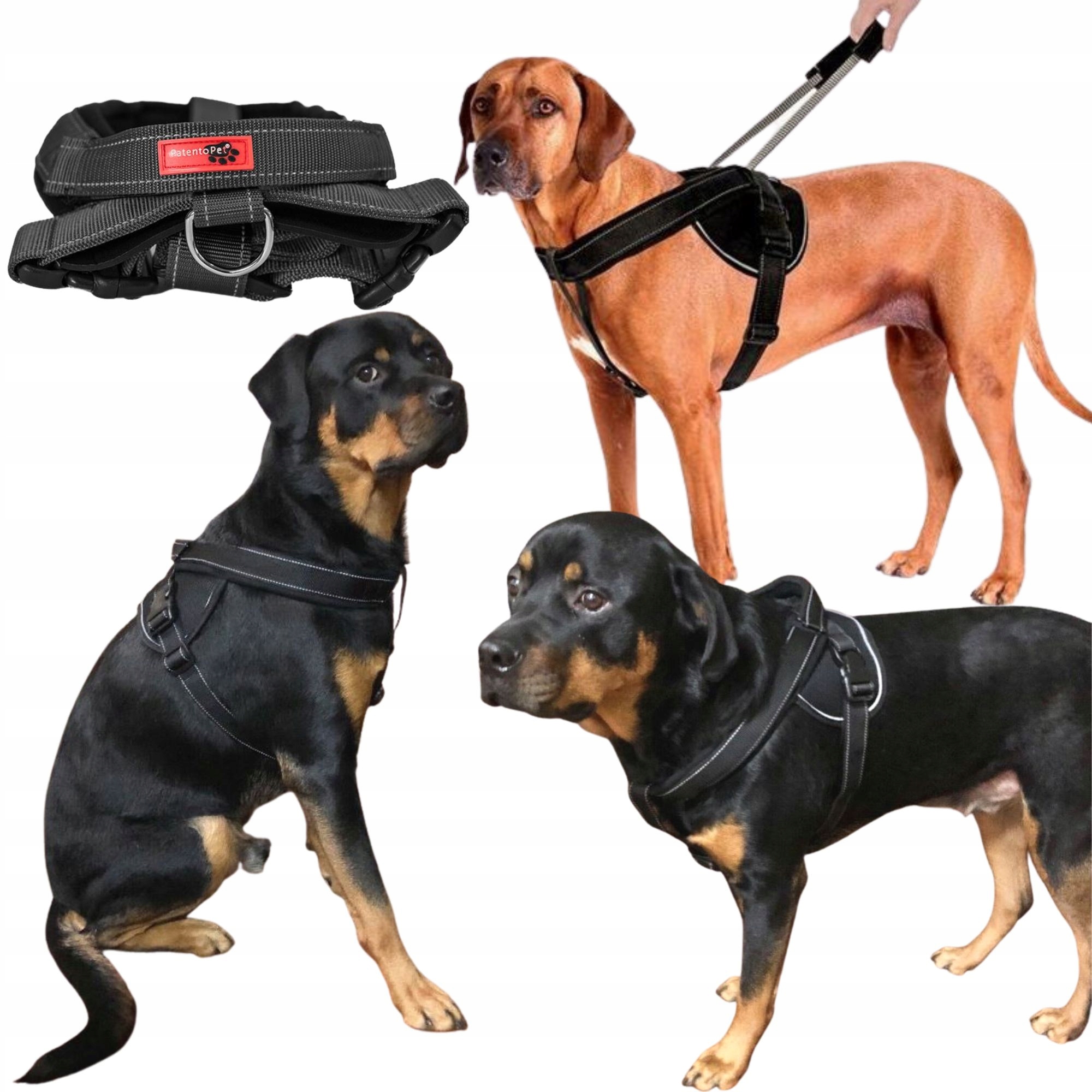 Levně Procházkové Tréninkové Postroje Pro Psa Guard S Krátkou Rukojetí, Reflexní, vel. L