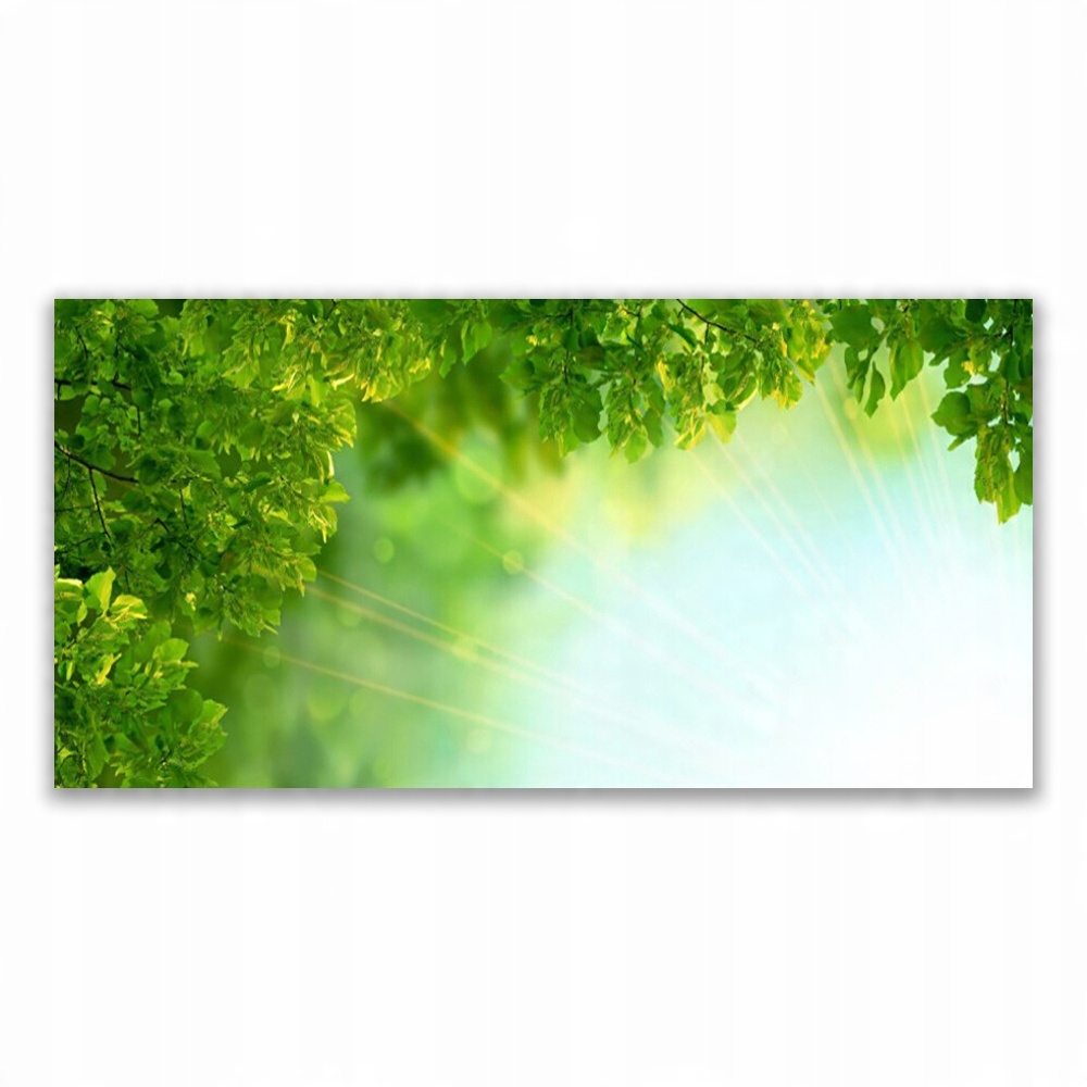 

Fotoobraz ścienny 120x60 Liście Przyroda Roślina