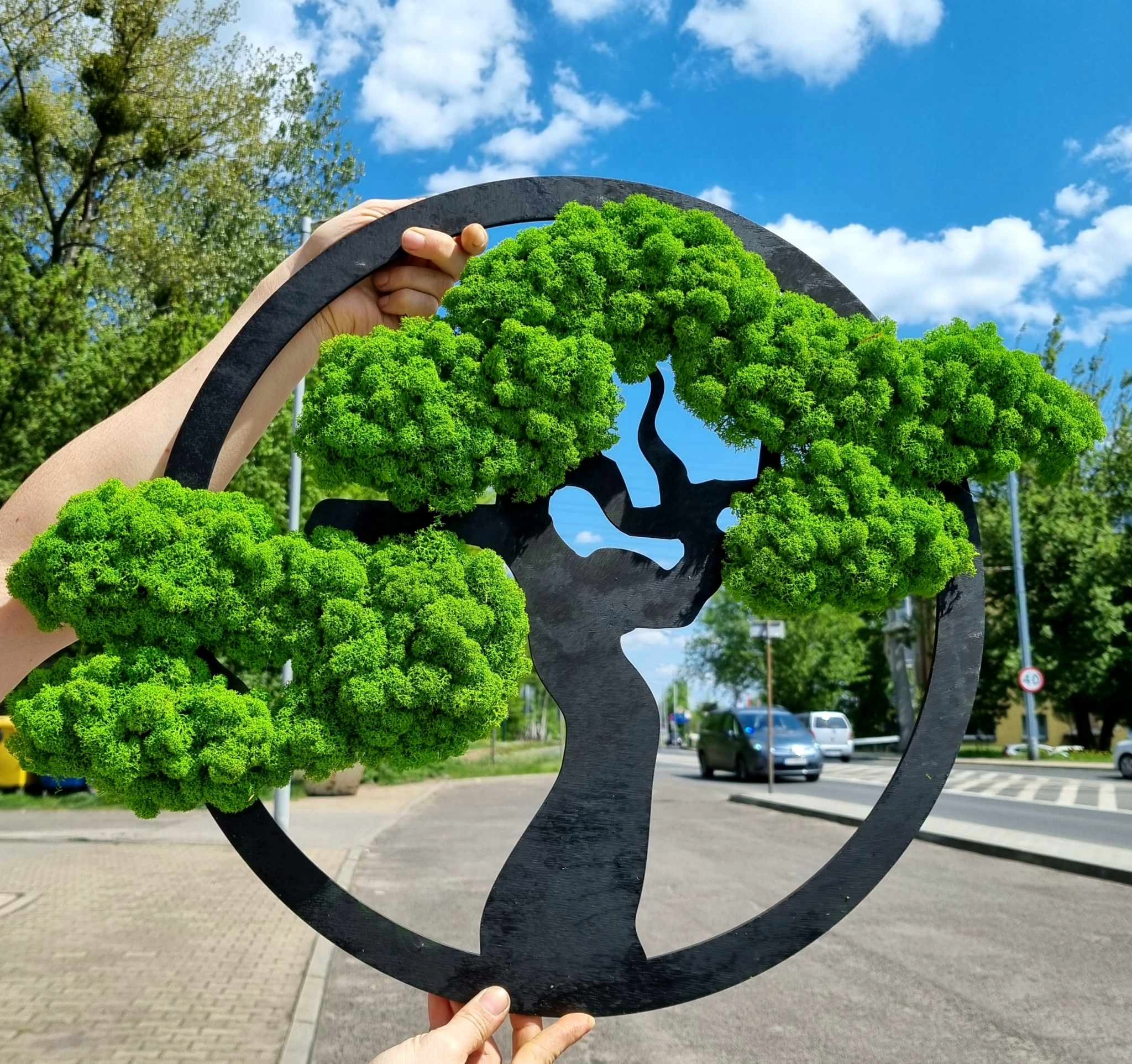 OBRAZ Z MCHEM DRZEWO ŻYCIA Kod producenta DK1