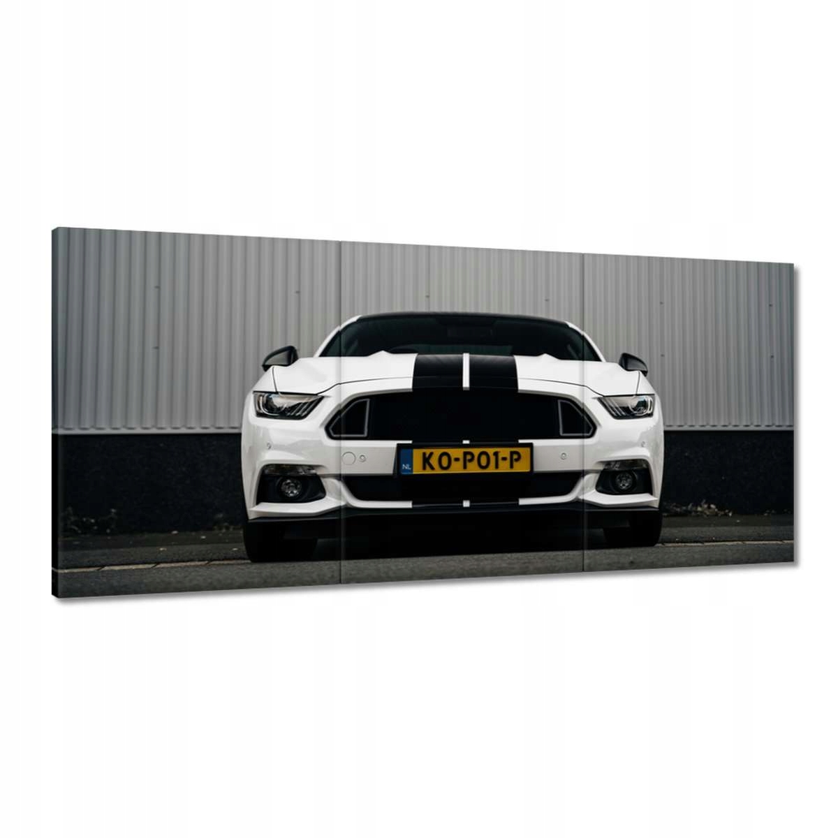 Obrazy 210x100 Ford Mustang s pruhmi