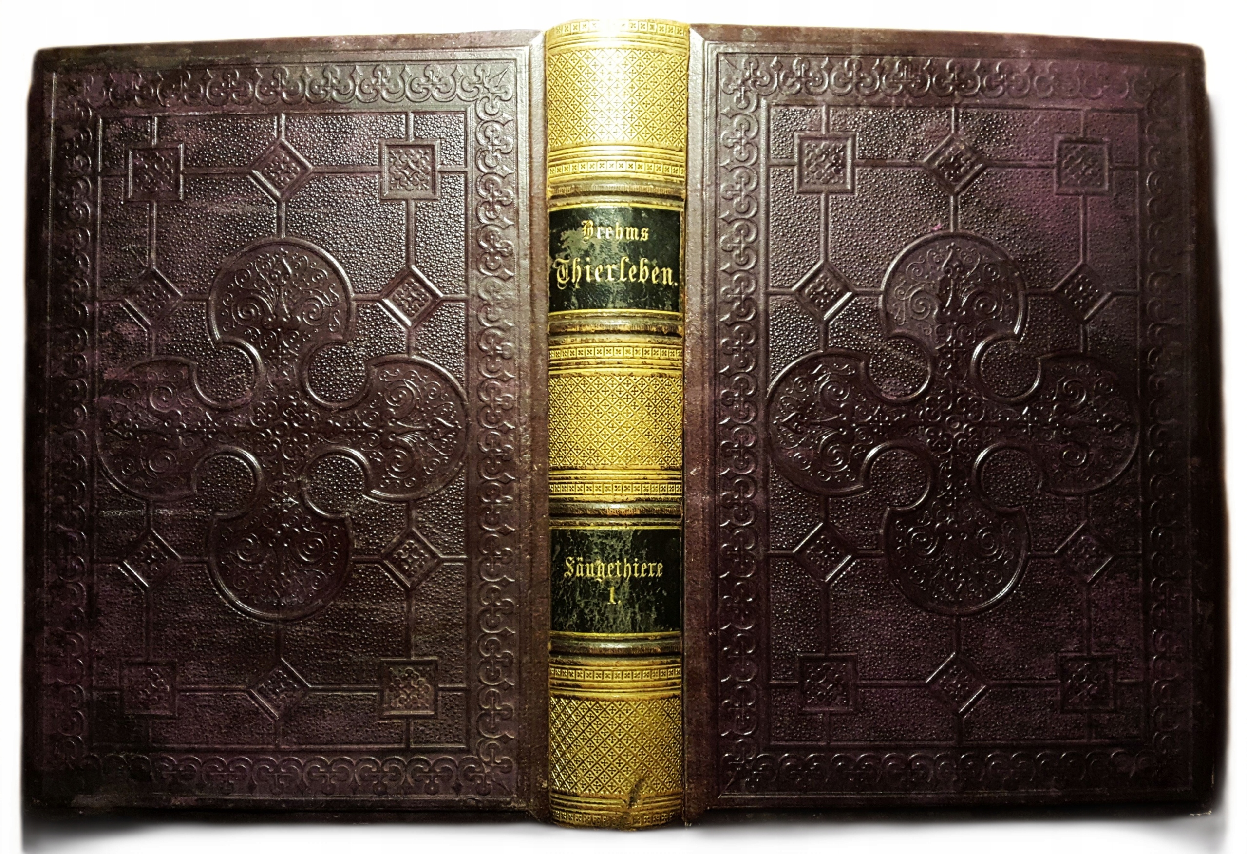 1876 BREHMS oprawa ozdobna J.R.HERZOG