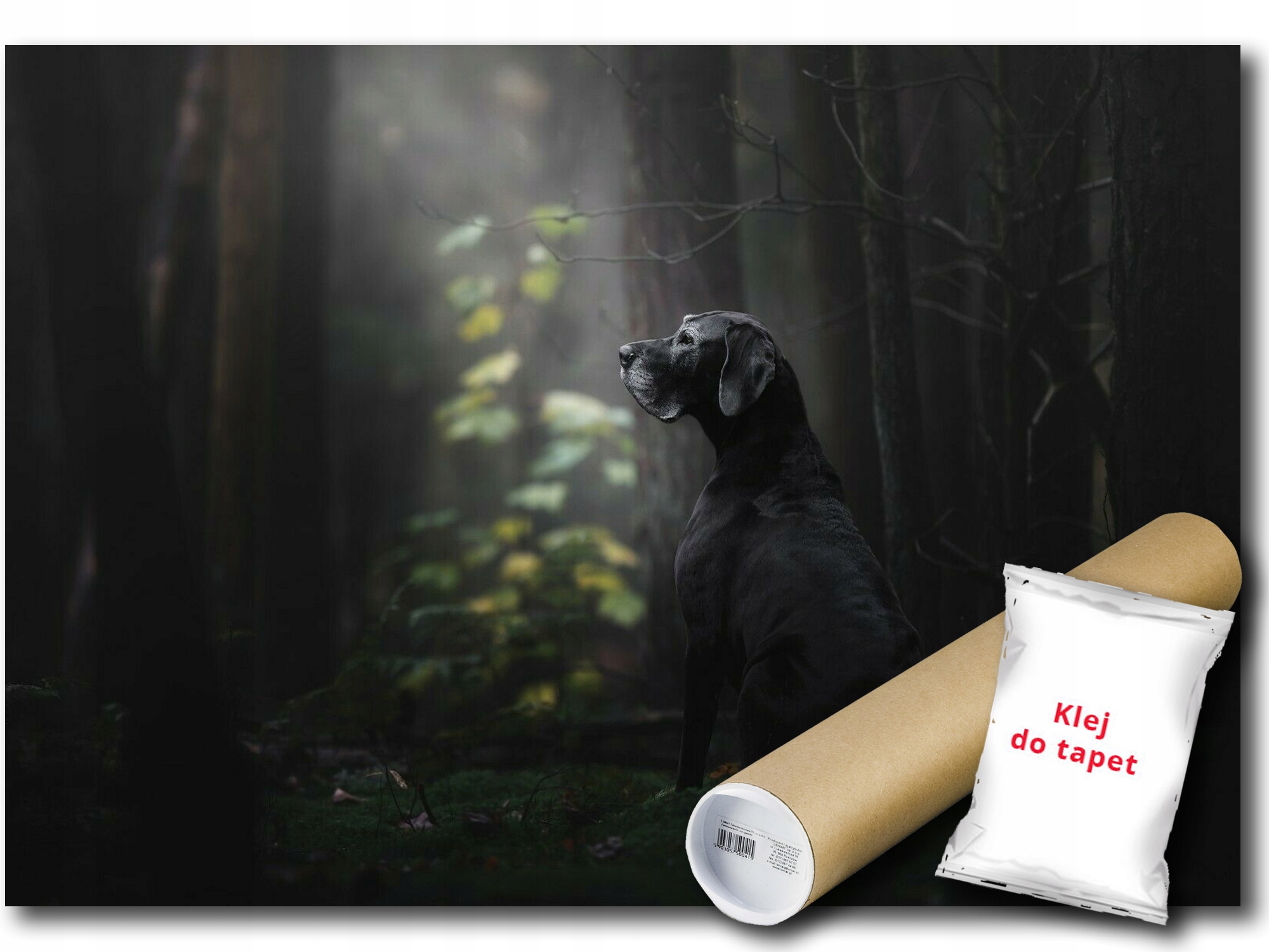 Fototapeta Flizelina Černý Pes Les 312x219