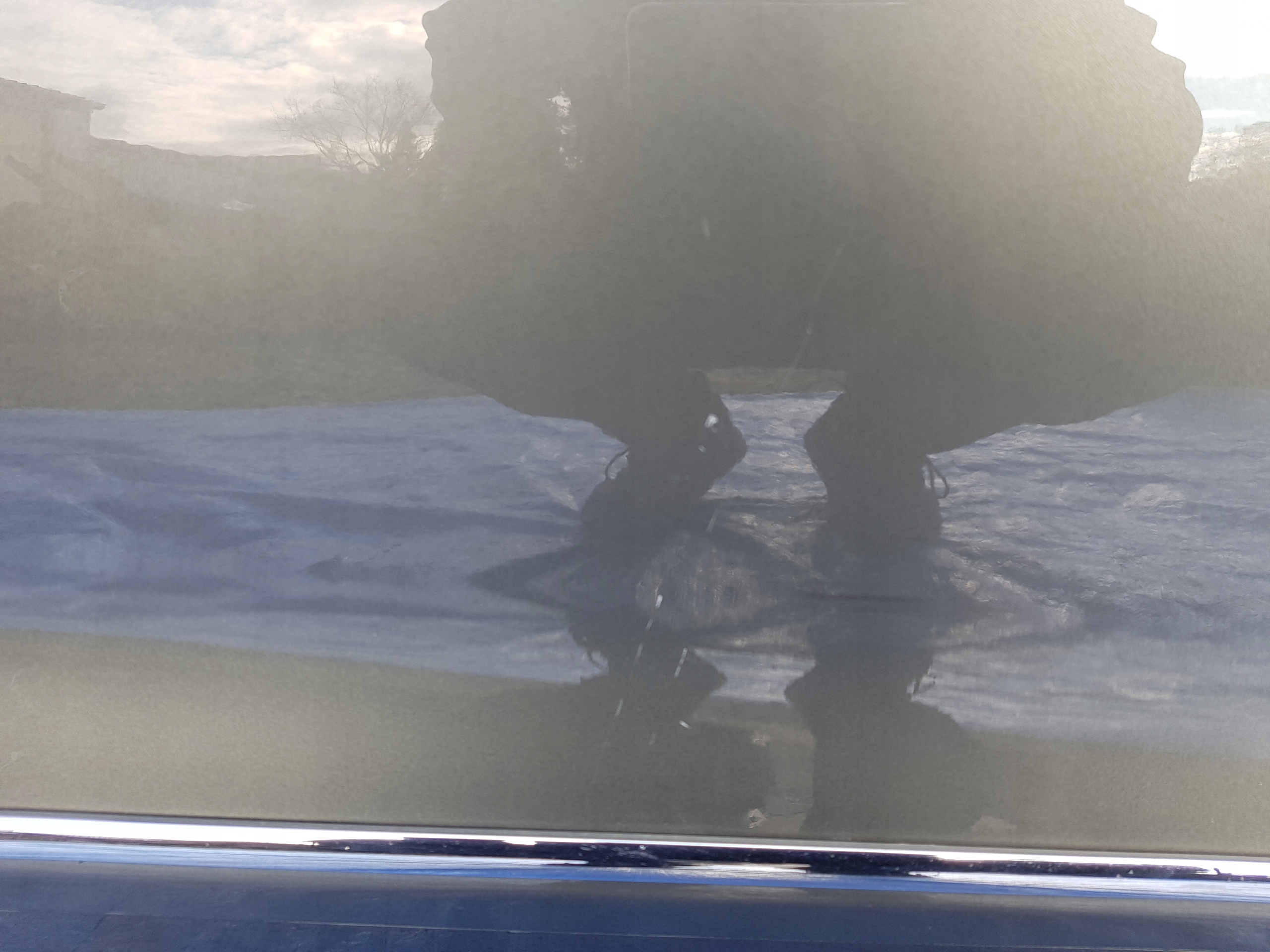 Tür rechts MERCEDES W207 C207 C786 786