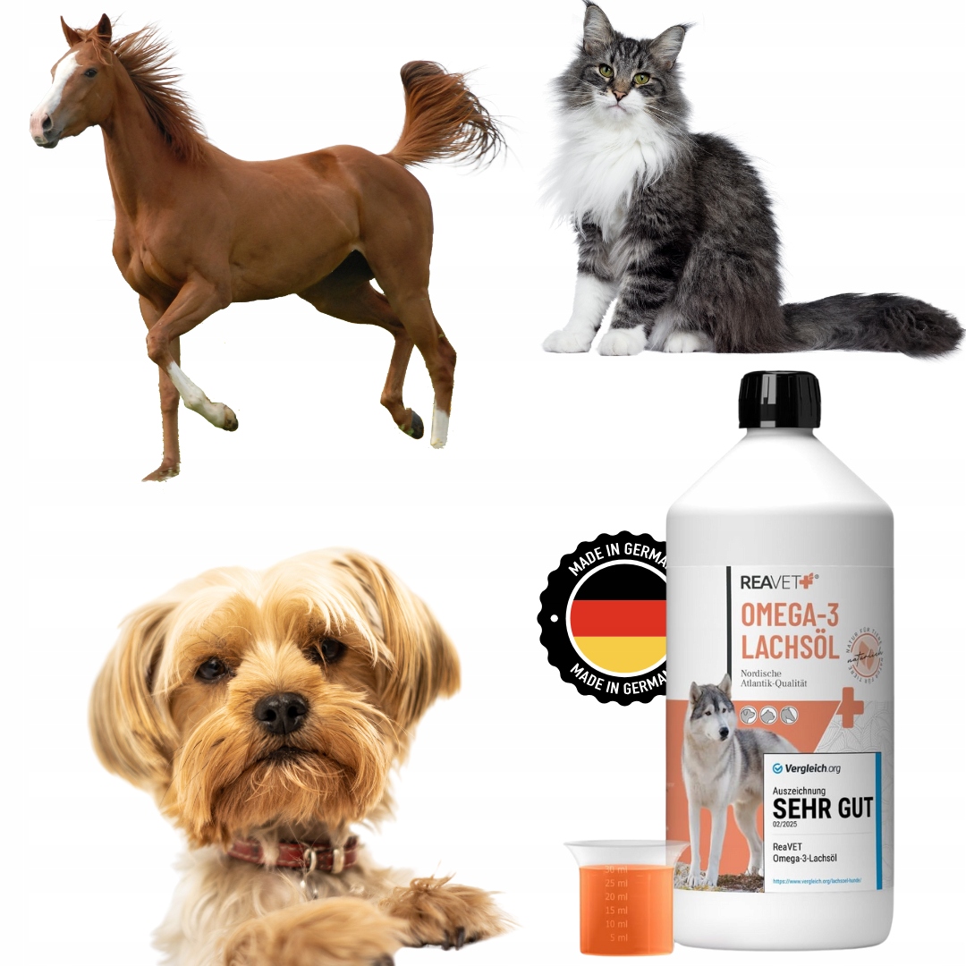 Levně Lososový olej pro psa kočku Omega 3 a 6 koně Vysoká kvalita Přírodní