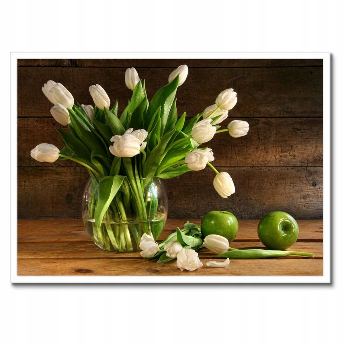 Plakáty v rámu 70x50 Bílé tulipány Desky