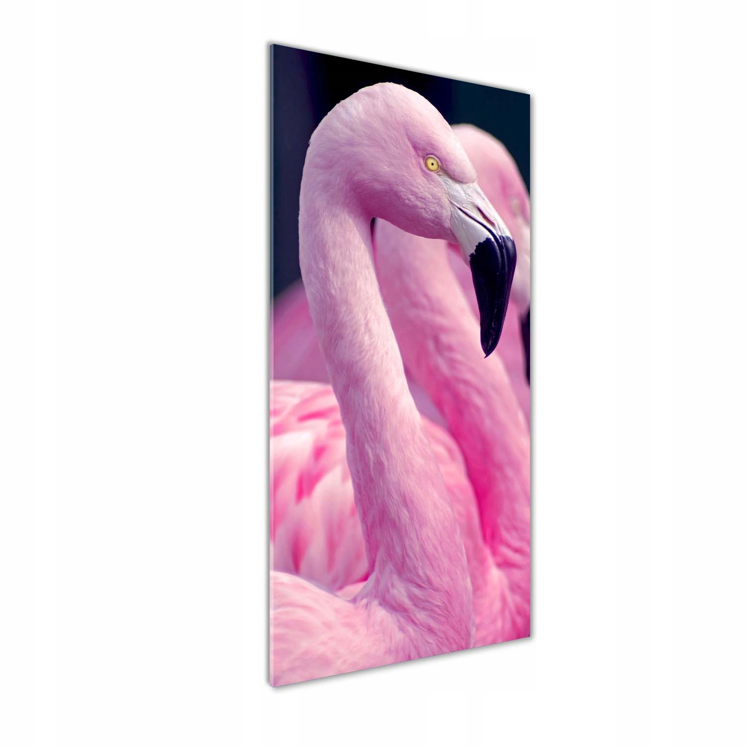 

Foto obraz akrylowy na ścianę Flamingi 50x125 cm