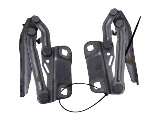 Петли дверные Капоты MERCEDES W251
