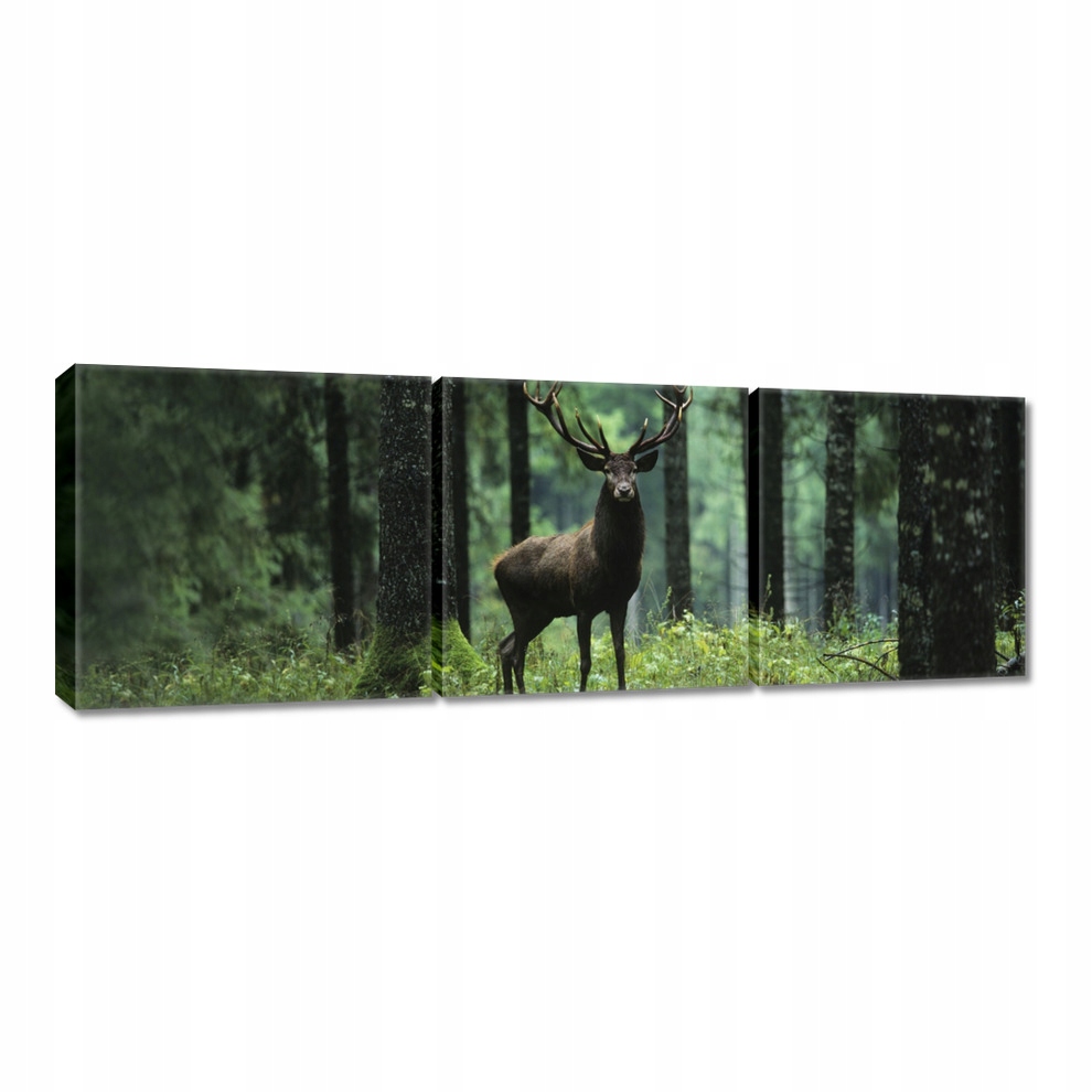 

Obrazy 120x40 Jeleń Jelenie Las Pejzaż
