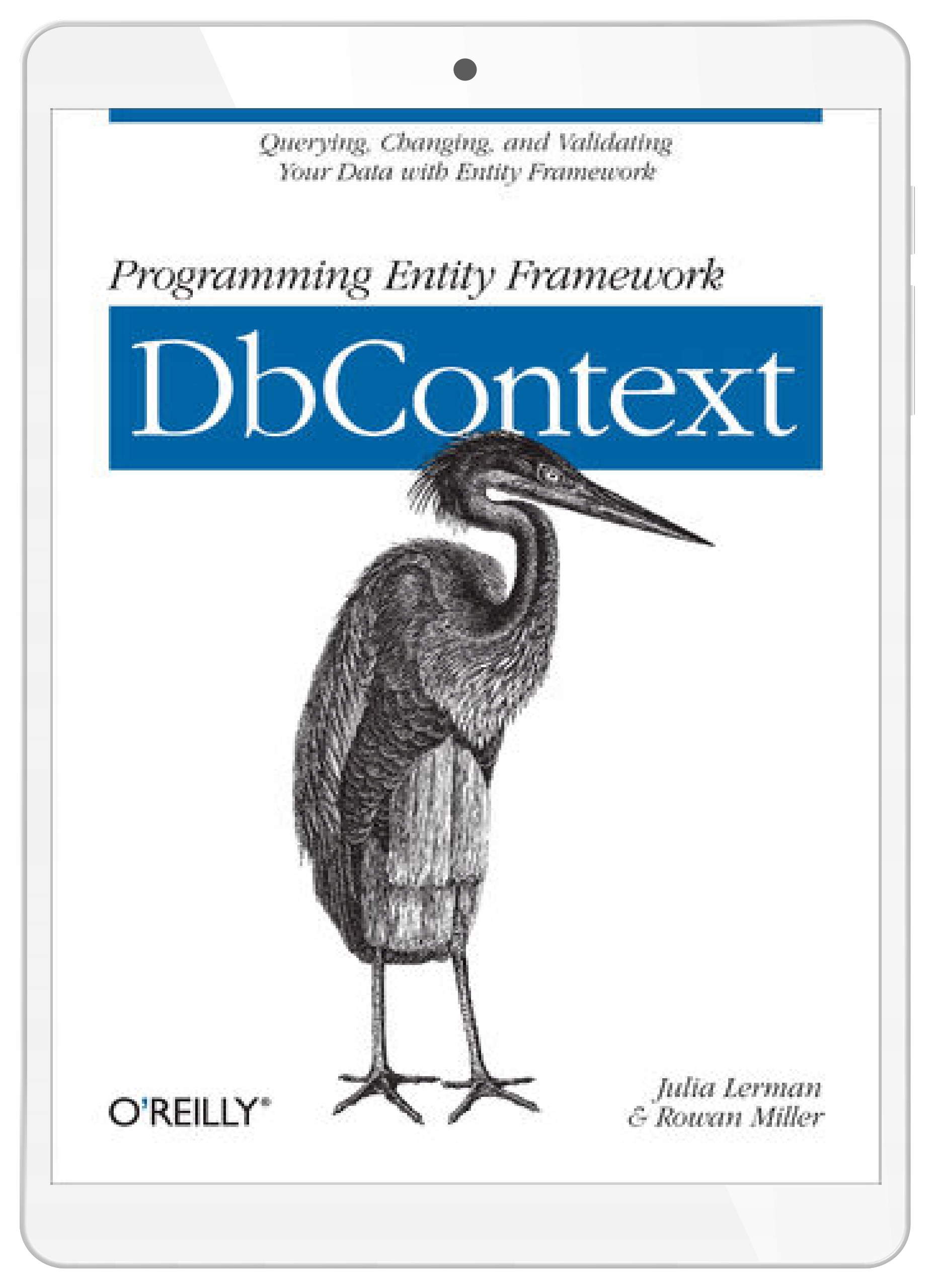 Programming Entity Framework: DbContext. Querying
