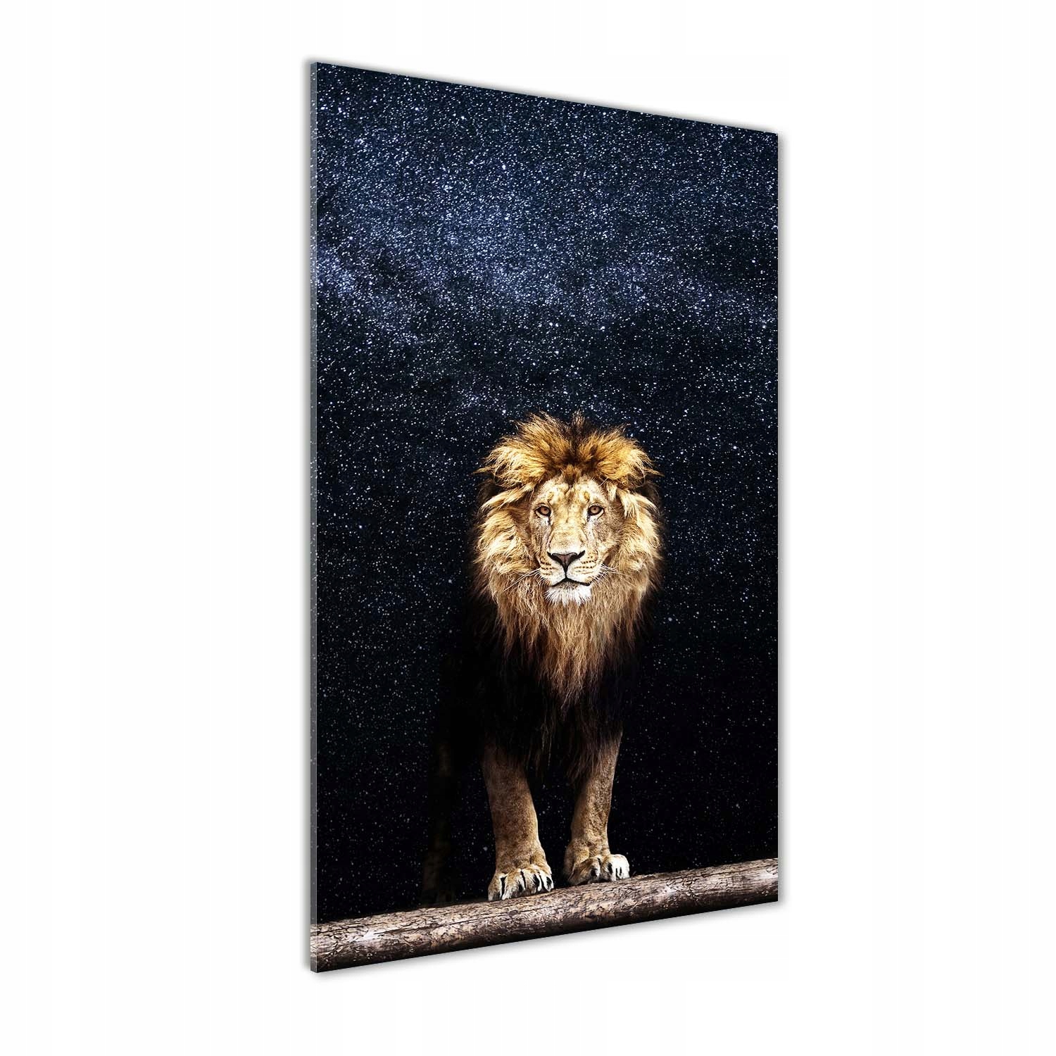 

Foto obraz akrylowy Lew na tle gwiazd 50x100 cm