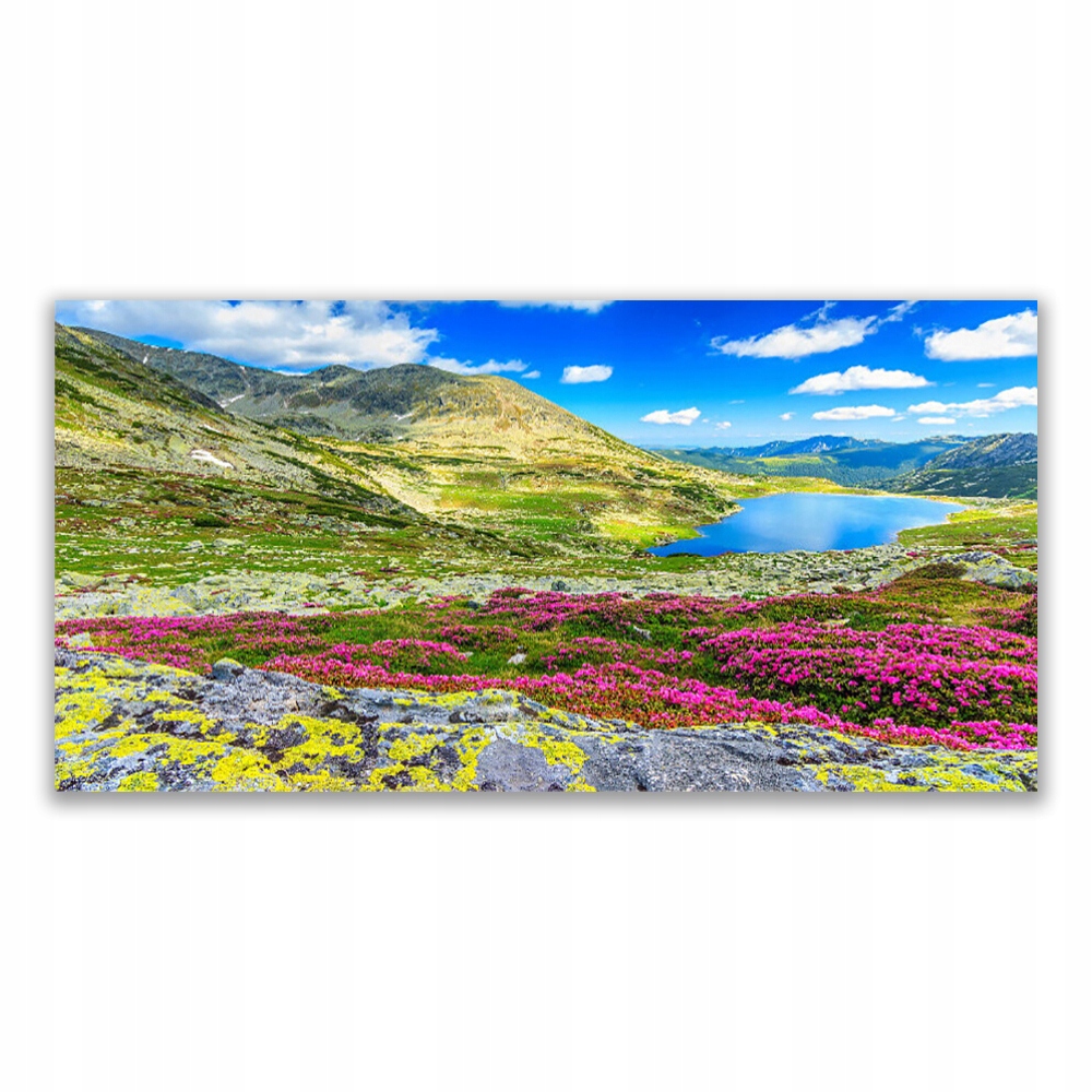 

Obraz akryl ścienny 140x70 Góra Zatoka Łąka Natura