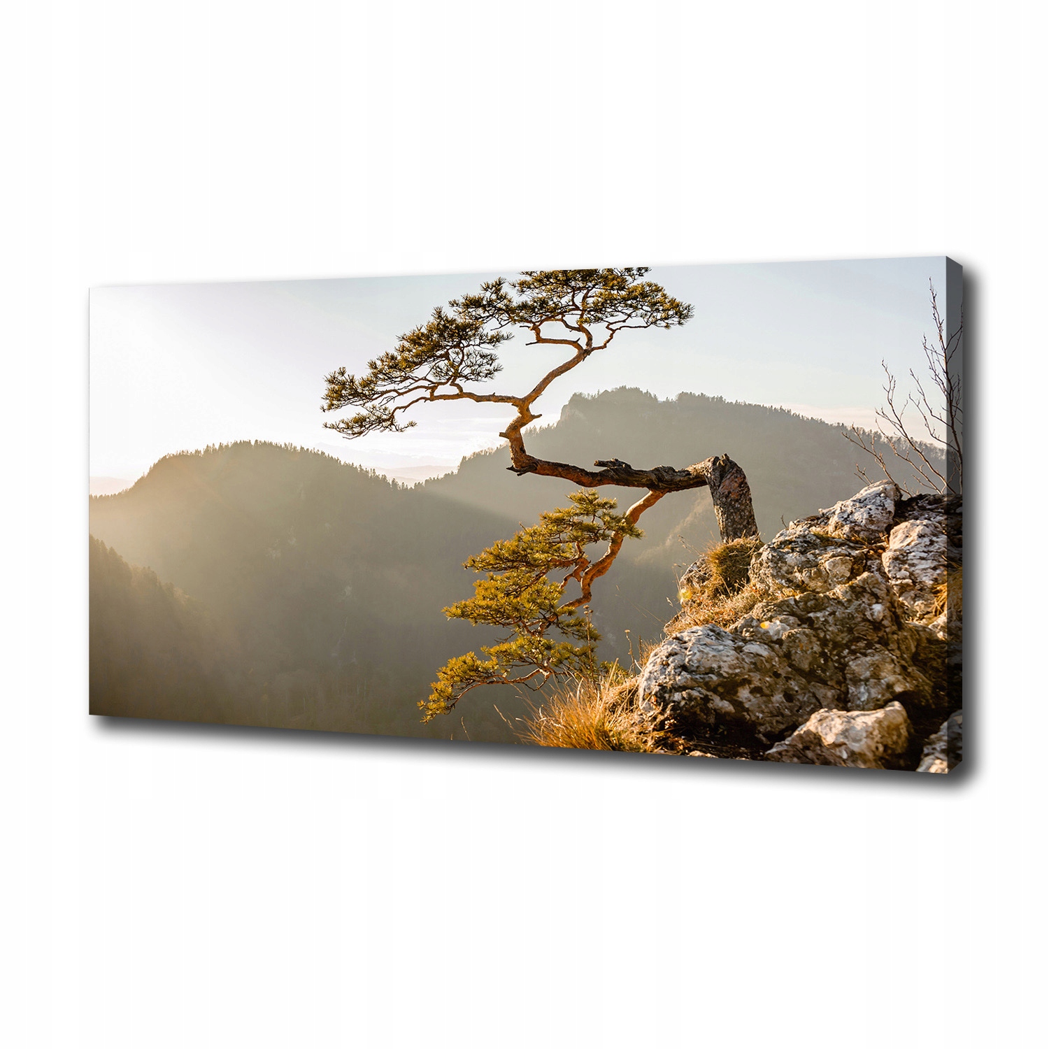 

Foto obraz na płótnie Sokolica Pieniny 100x50 cm