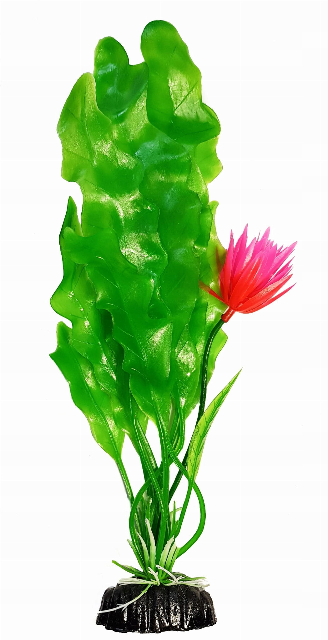 

Roślina akwariowa Onowodek kwitnący 30 cm